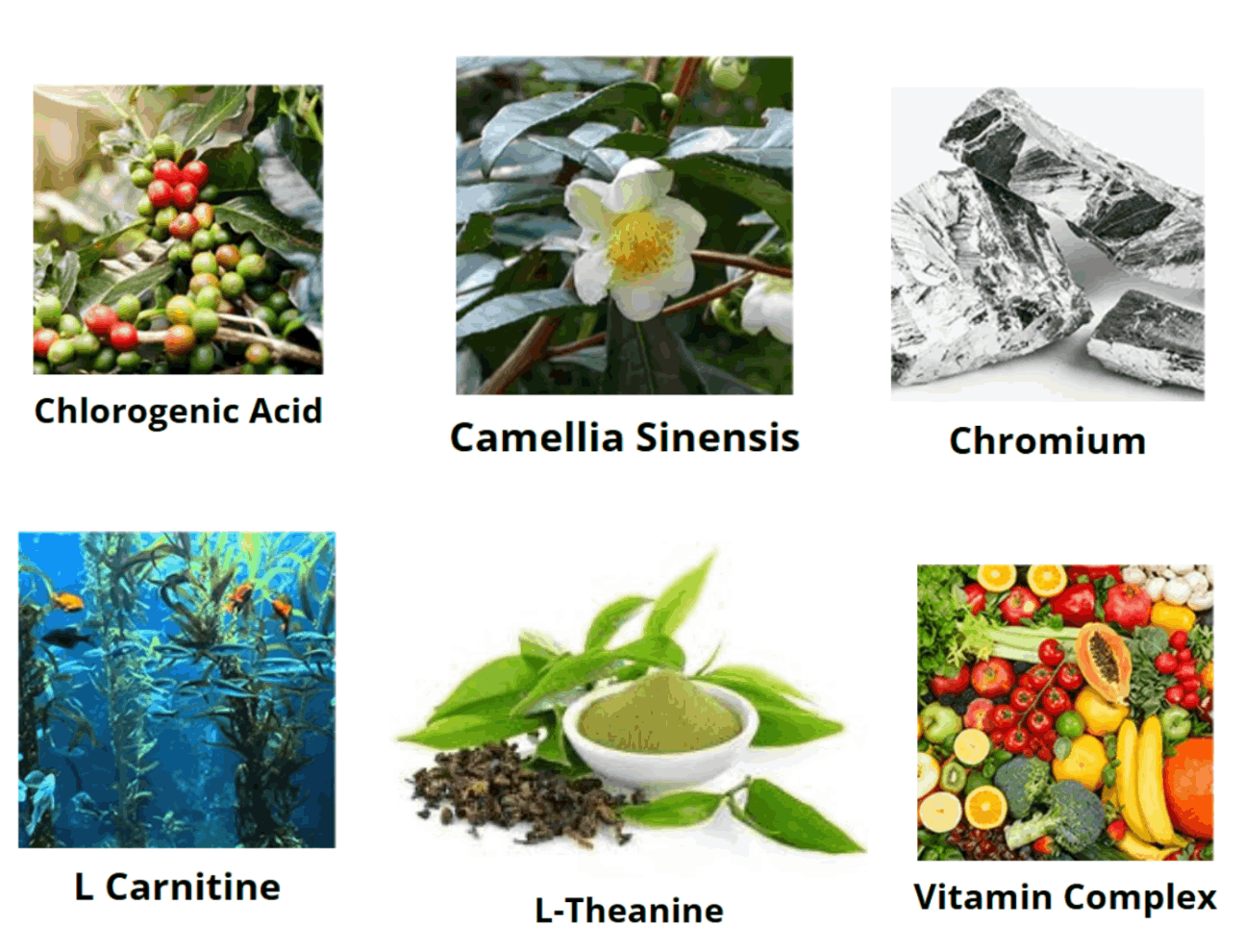 Metabo Drops-ingredients